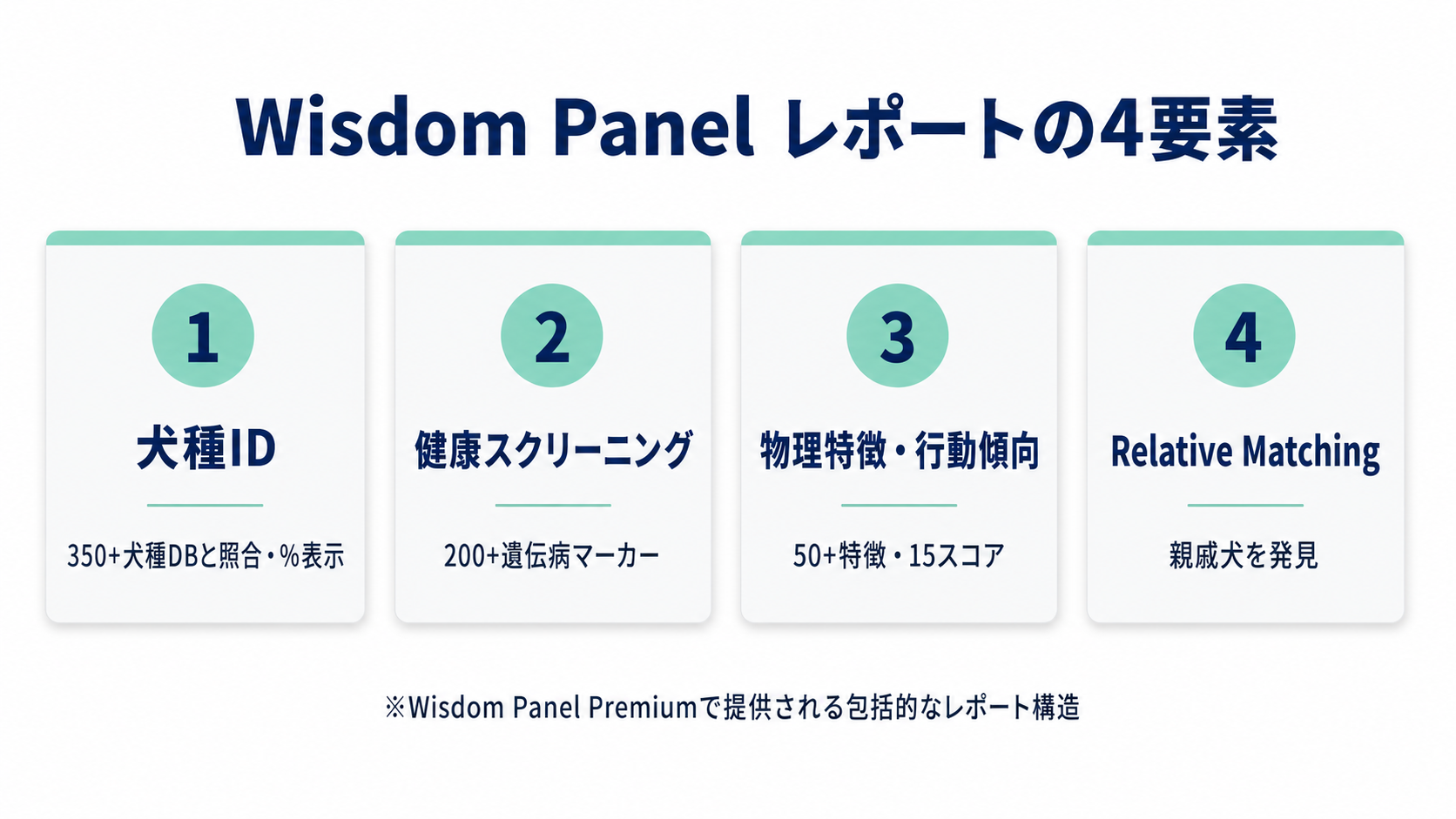 Wisdom Panelの結果レポート4要素（犬種ID 350+・健康スクリーニング 200+・物理的特徴 50+・Relative Matching家族マッチ）を構造化したインフォグラフィック