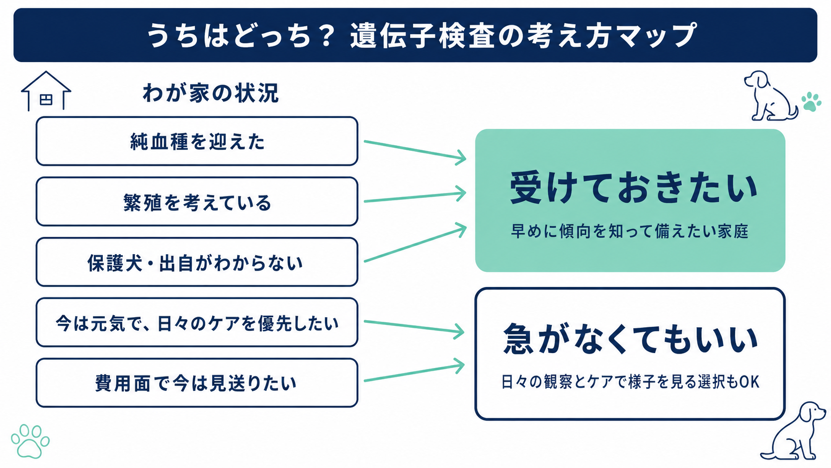 犬の遺伝子検査を受けておきたい家庭と急がなくてもいい家庭を仕分ける考え方マップ