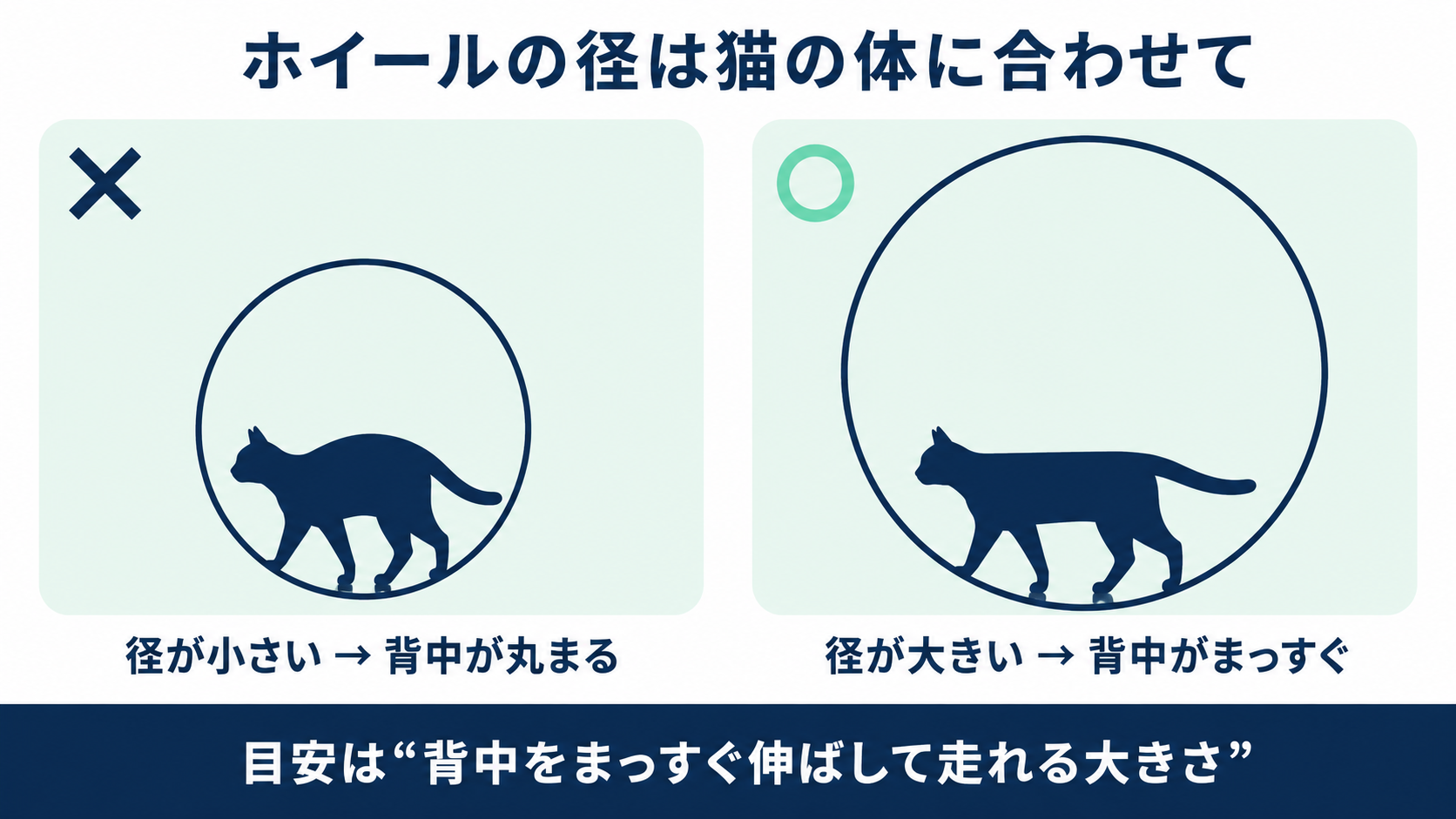 ホイールの径は猫の体に合わせて(サイズの目安)